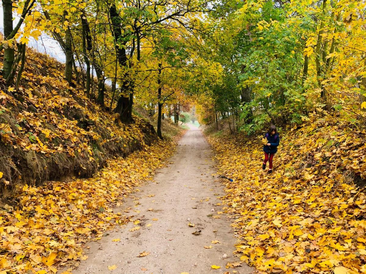 Toskania Kociewska Nowe Exteriör bild