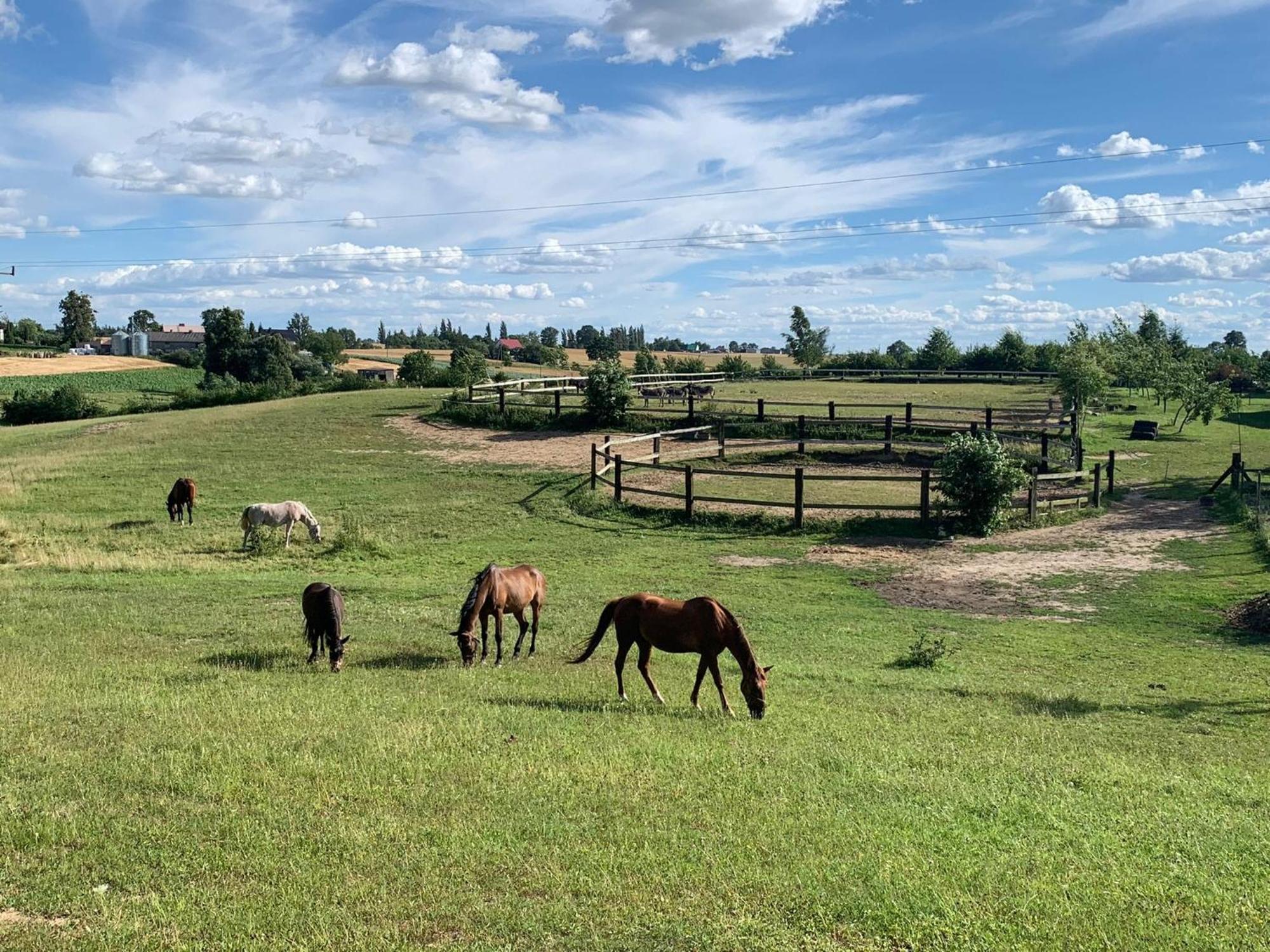 Toskania Kociewska Nowe Exteriör bild