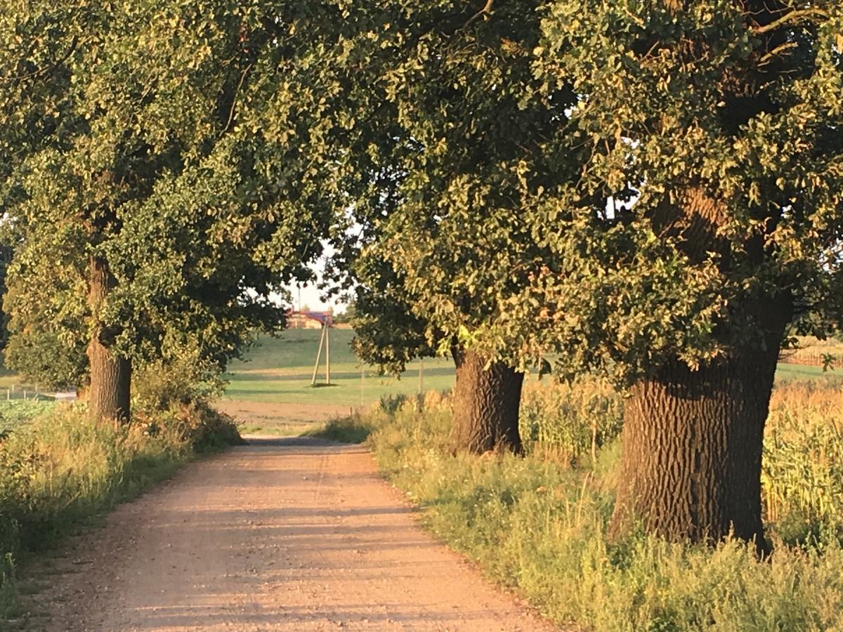 Toskania Kociewska Nowe Exteriör bild