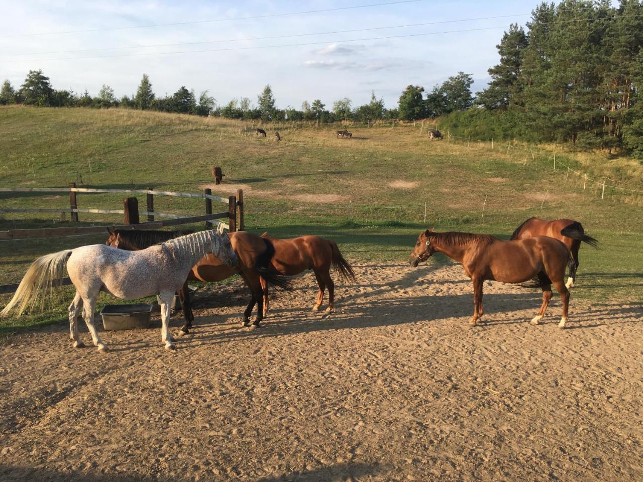 Toskania Kociewska Nowe Exteriör bild